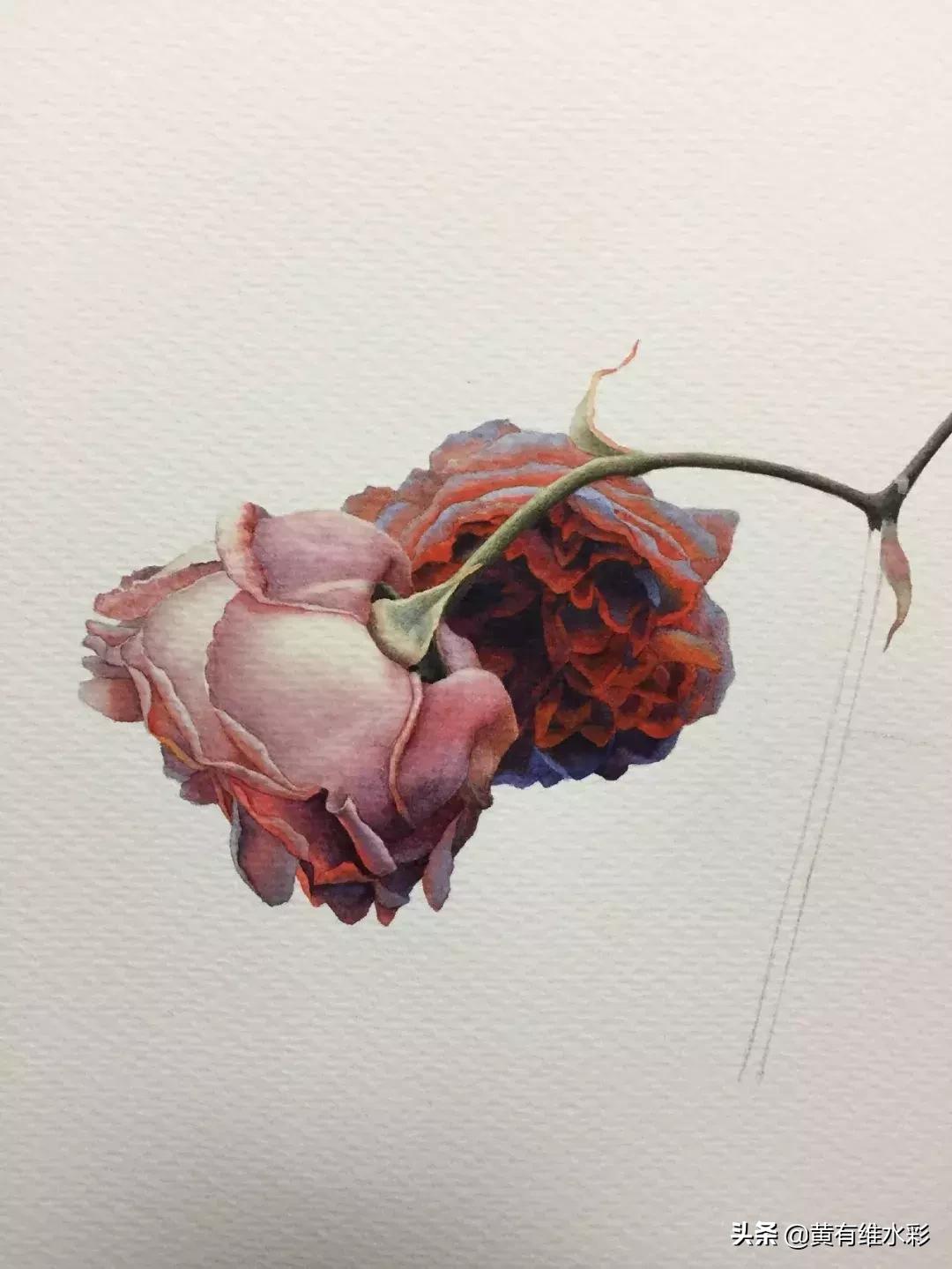 33朵玫瑰制作全过程,英伦花教程