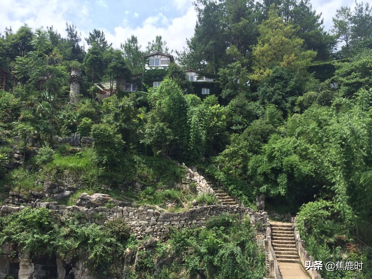 【原创小说连载《路回》】八回李氏操劳险成疾柳乡花苗惨遭毁