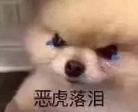 一米八小伙子被客户阿姨拍屁股，这样不好吧啊哈哈哈