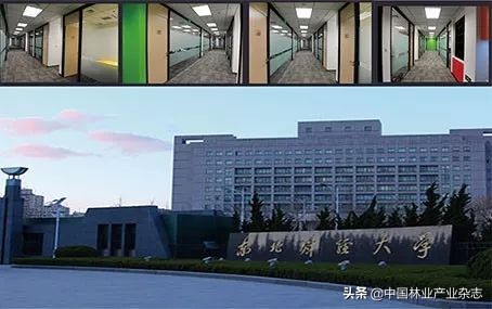 品桥木门：北京大兴机场|凤凰已经展翅，未来正在启航，我门承蒙青睐