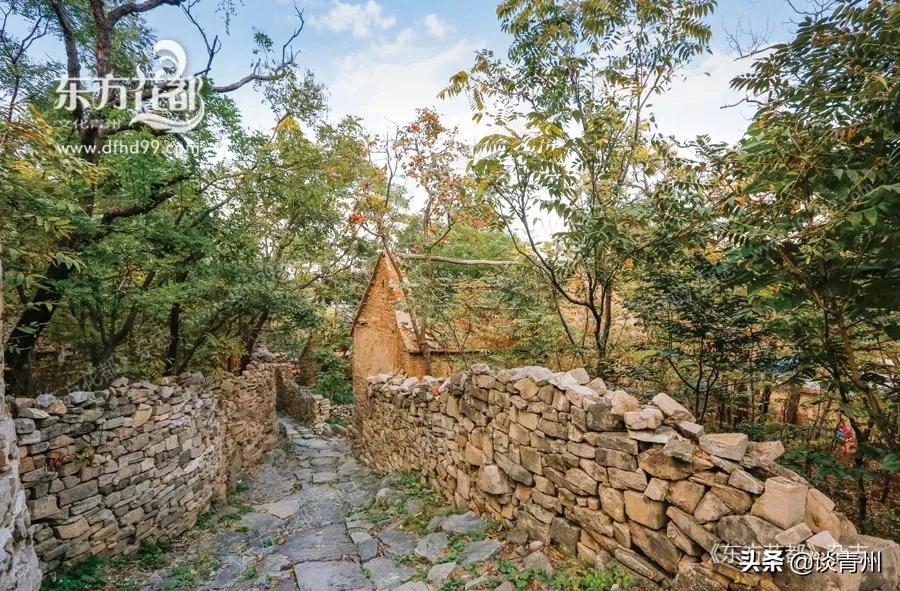 怀古东峪村悟道黄龙山——你所不知的东峪古村