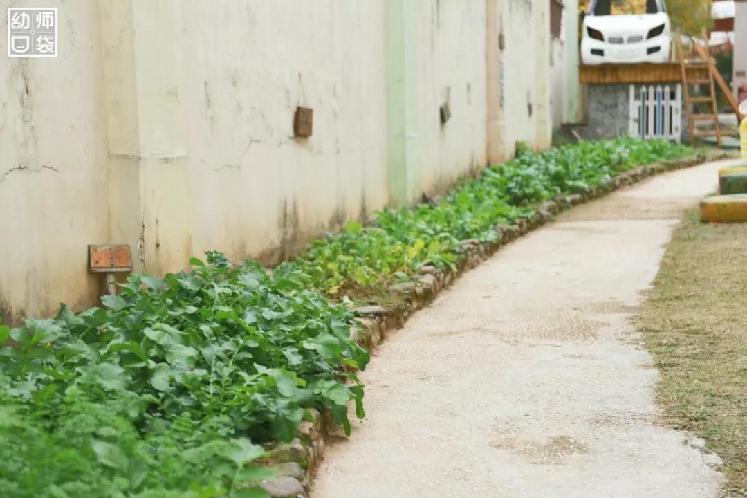 从哪个地方感受到幼儿园的美,幼儿园艺术感受与欣赏感悟分享