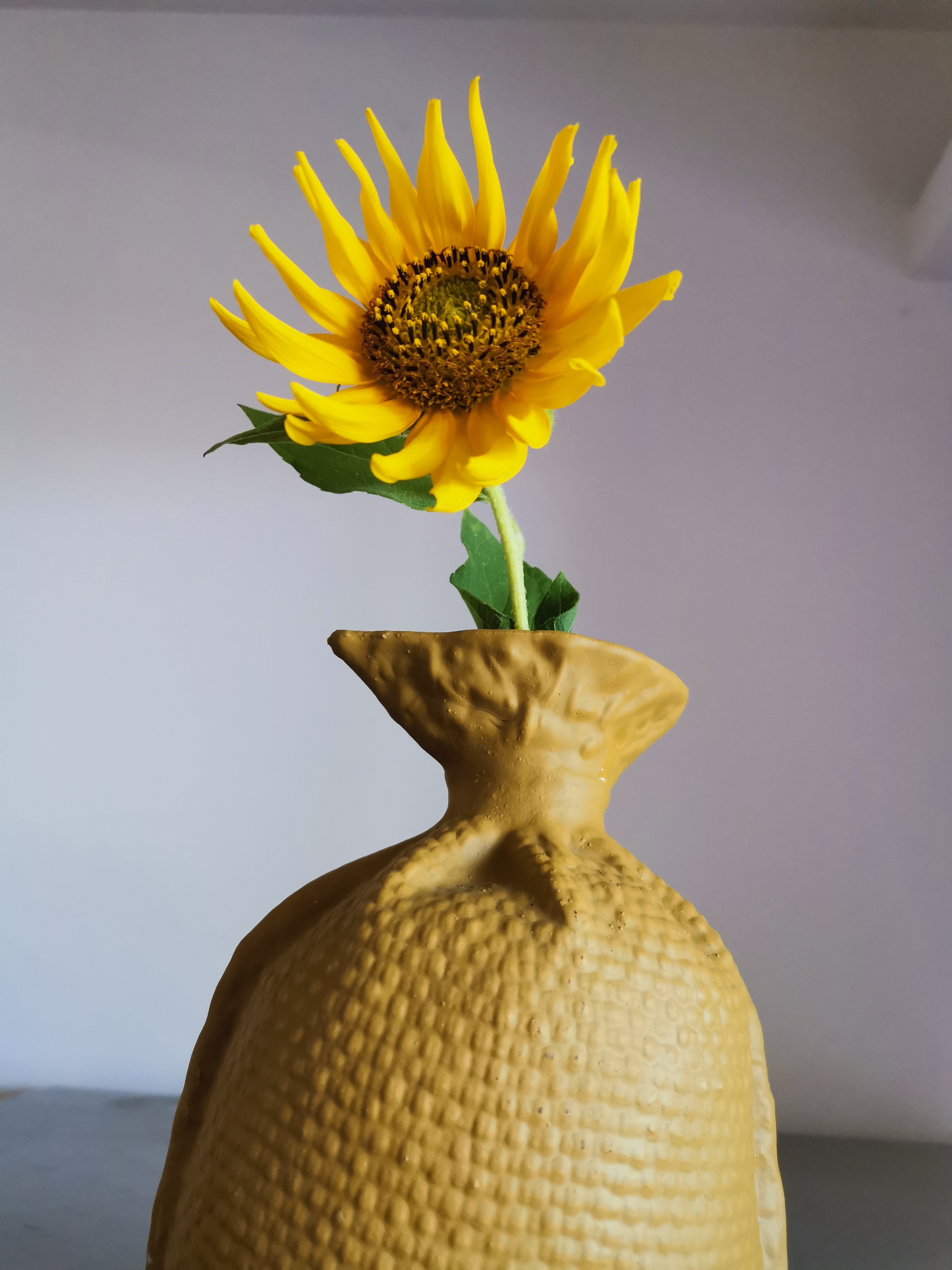 怀瑾握瑜蕙质兰心,怀瑾握瑜君子如珩