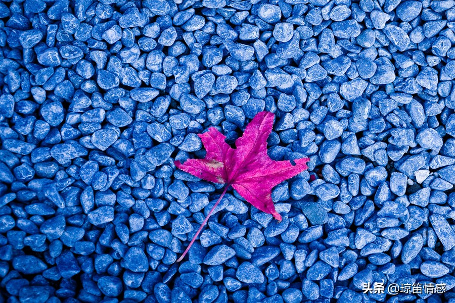 结婚后被催着生娃,刚结婚一个月婆婆催着让生孩子