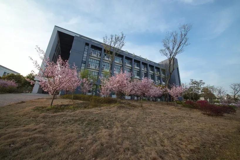 安徽合肥大学二本院校,安徽二本高校