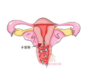 好孕攻略排卵期的七大表现,排卵期攻略助你好孕