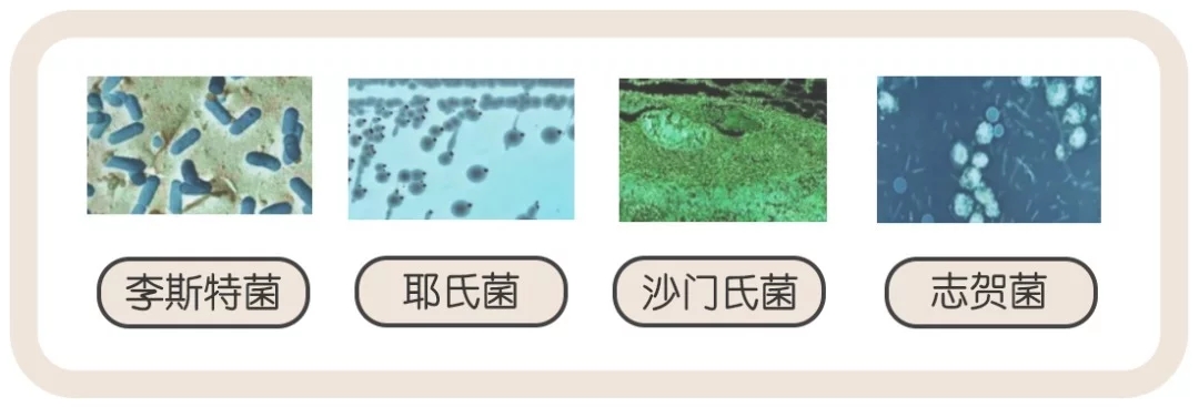 冰箱清洗臭氧杀菌用加水吗,冰箱杀菌用臭氧还是紫外线好