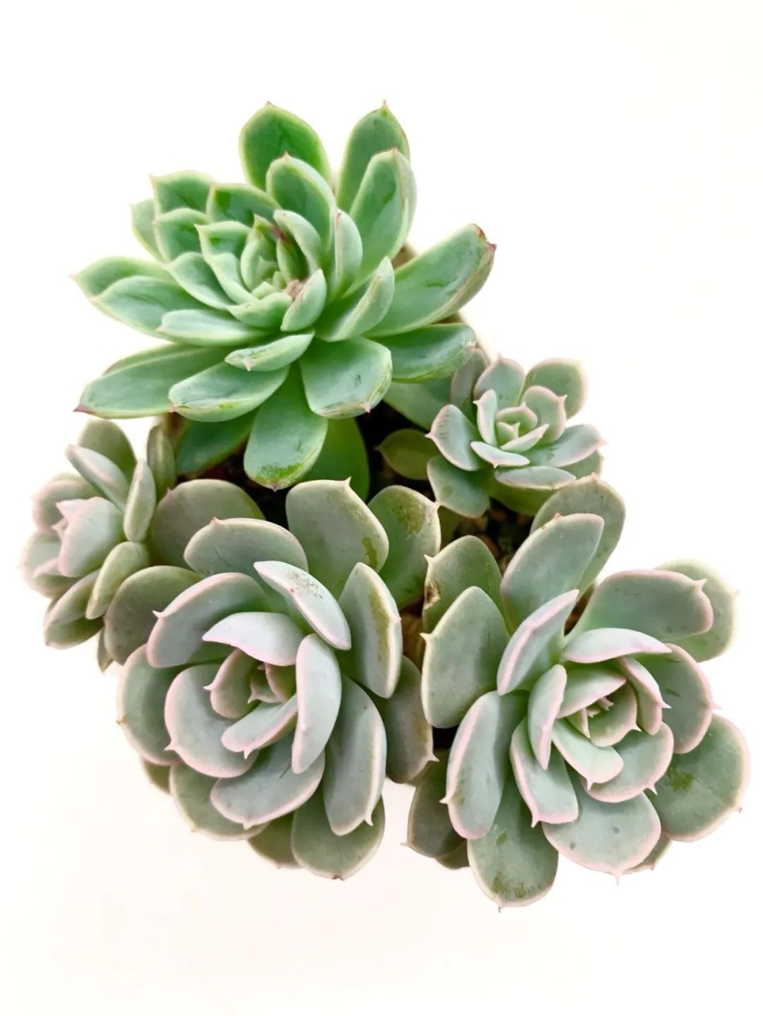 禁足的日子收获颇多,禁足