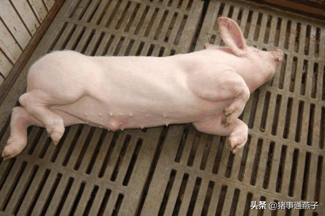 秋季疾病高发怎么办,秋季常见疾病及治疗方法