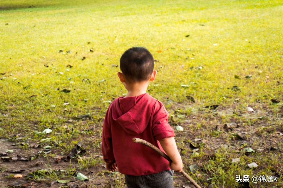 500块钱的相机能拍出好看的照片吗,500块钱的微单相机推荐