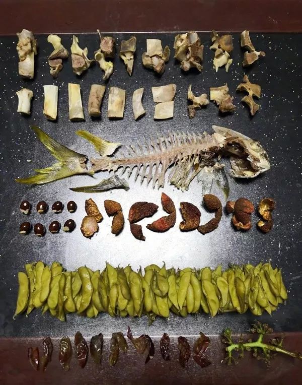 你还在惆怅如何扔垃圾，“代收垃圾网约工”却已月入过万不是梦