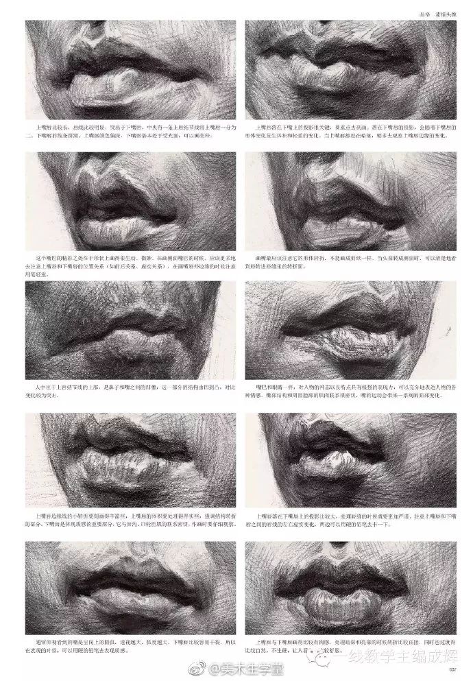 优质素描,优质素描静物