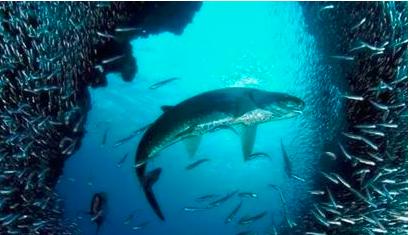 投资高手的十大经典模式,投资十大经典定律