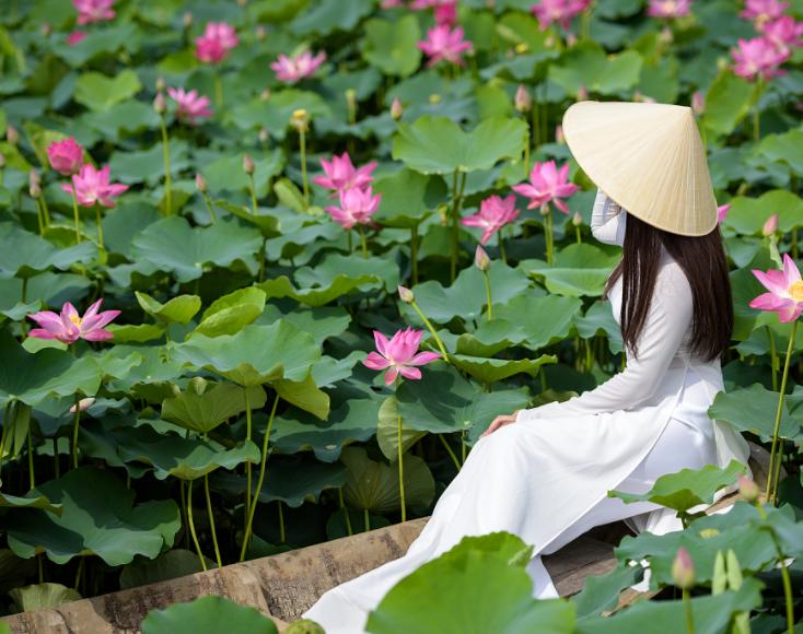 我家的江南风光，小小碗莲，自在清香淡雅，真的好看极了