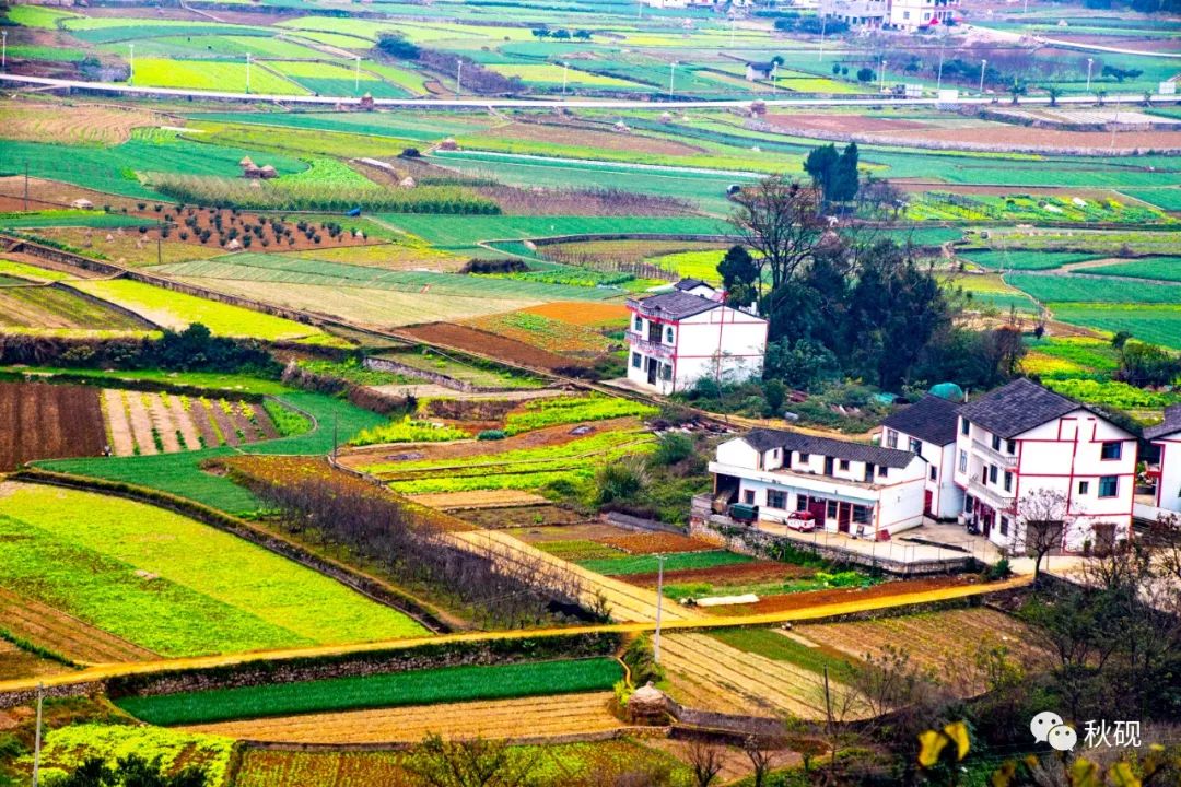 周游西南随记（六）弥蒙的万峰林