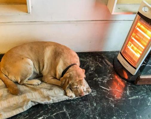 别再受骗了视频,别再上当受骗