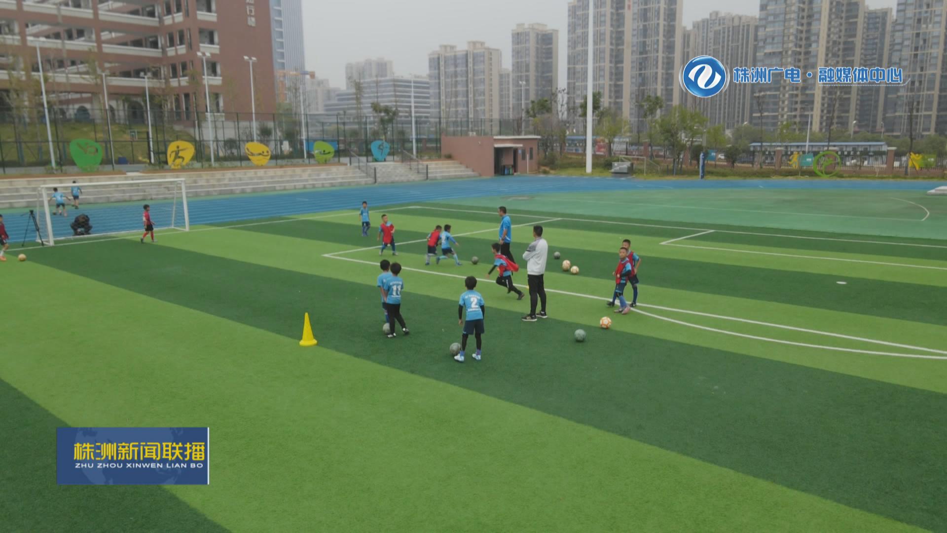 株洲市十大学校,株洲最好的足球学校