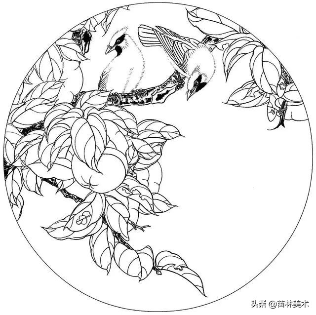 现代国画工笔花鸟白描及完整版,路雨年工笔白描花鸟团扇高清图片