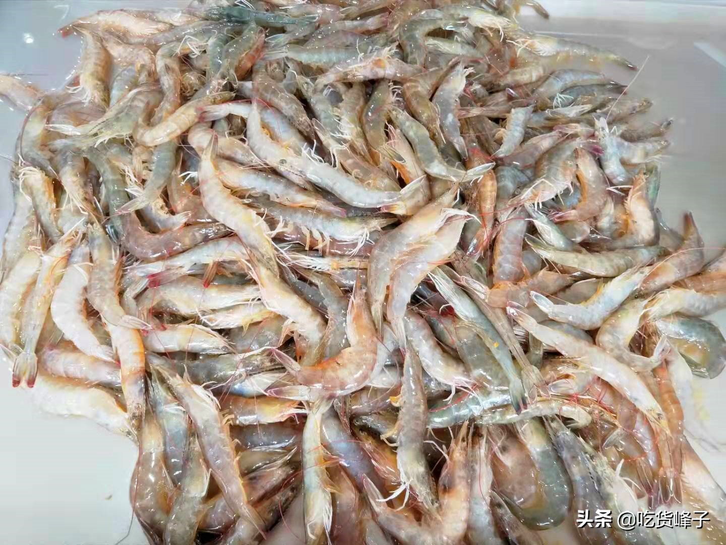 水煮大虾是开水放还是冷水放呢,水煮大虾是冷水放还是热水放