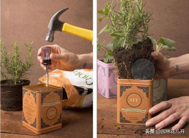创意花盆简单制作方法,居家花盆