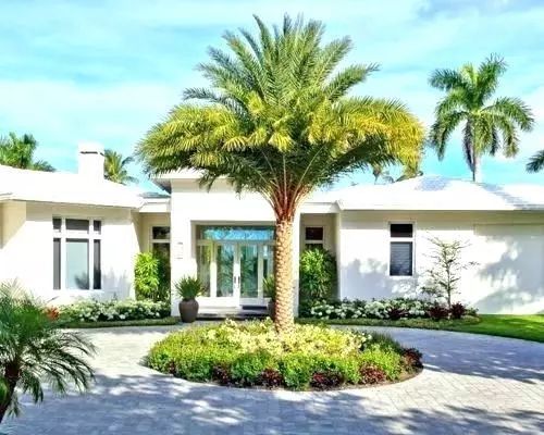 棕榈科植物的景观用途,观赏棕榈植物与景观