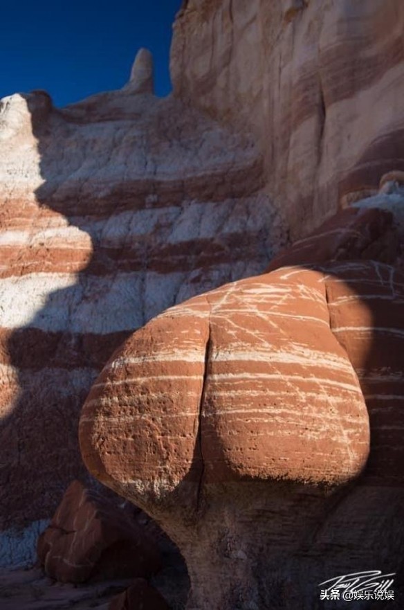 每日一笑，请问发骚门诊怎么走？大自然也好这口？纯白至臻小猫咪