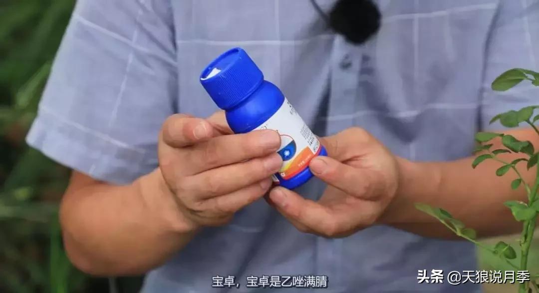 史上最详细的“红蜘蛛”防治攻略三部曲（对应三期视频）