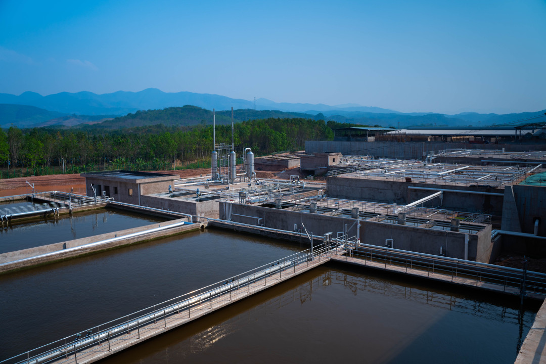 怎么样辨别真假乳胶用品,鉴别乳胶真伪