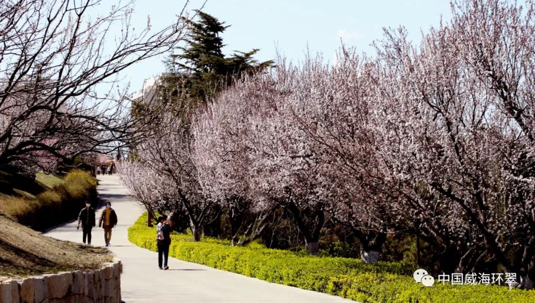 走进春天的环翠公园,环翠景色