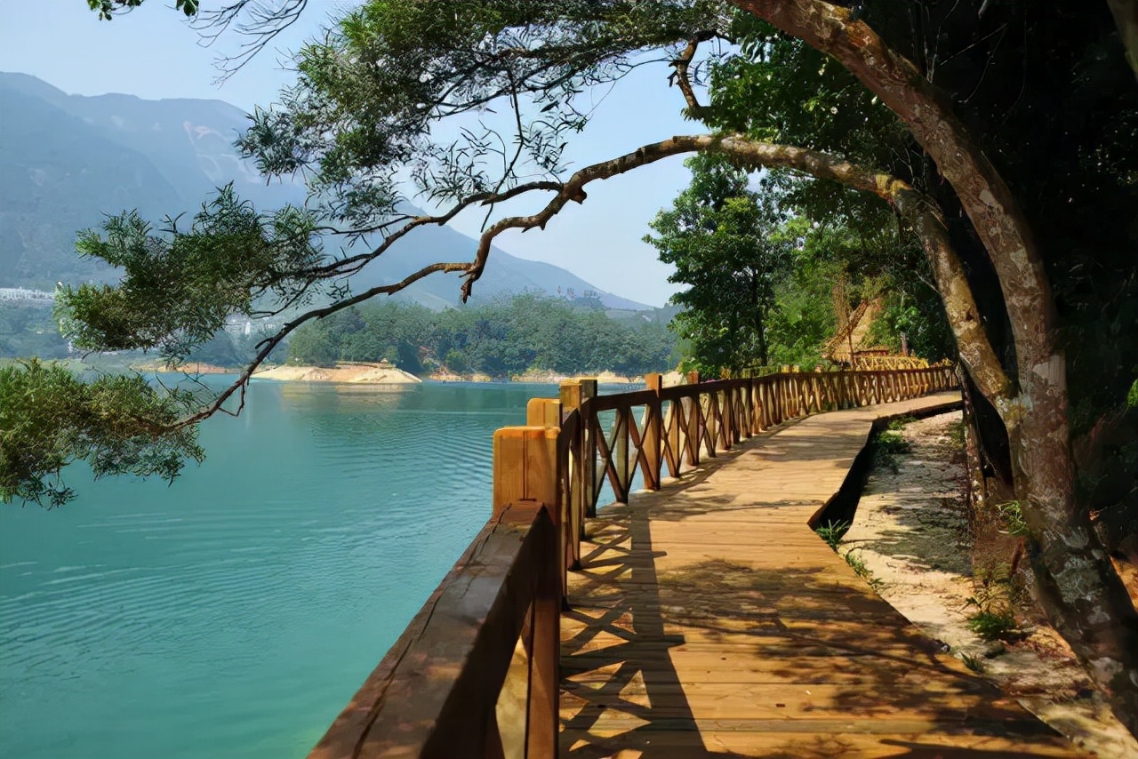 广州从化山野间隐奢桃源民宿，诗意野趣手作做个小木匠丨菁木山舍