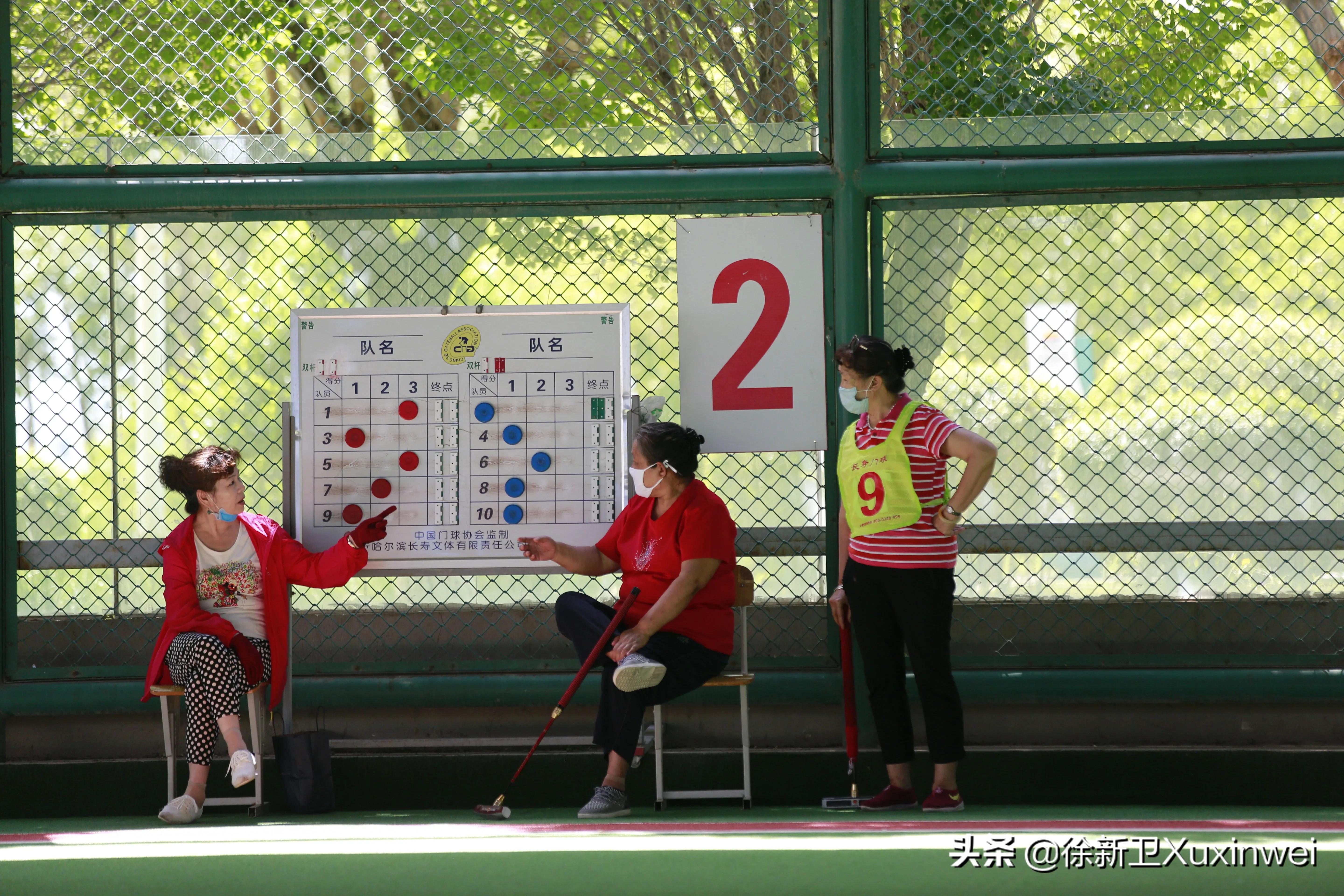 关于门球的那些事,聊聊体坛那些事儿