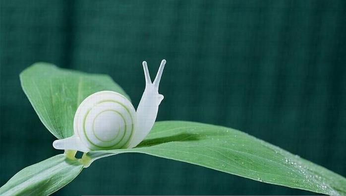 儿童创意美术课程:小蜗牛