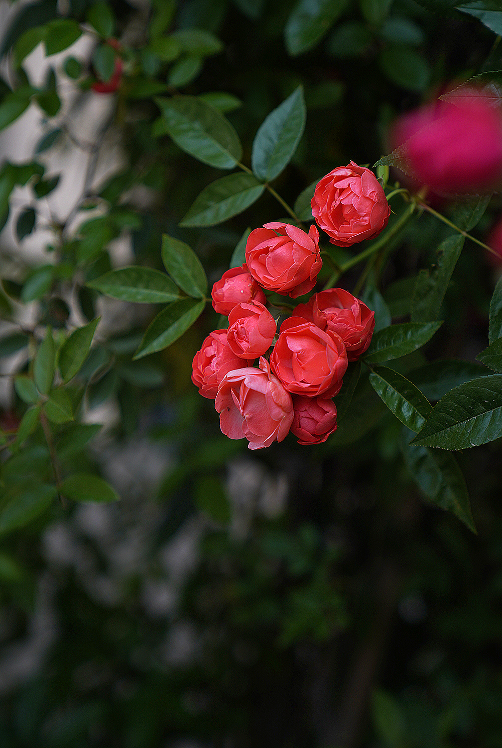 陕西西安丹青美术招生,零基础学美术之路