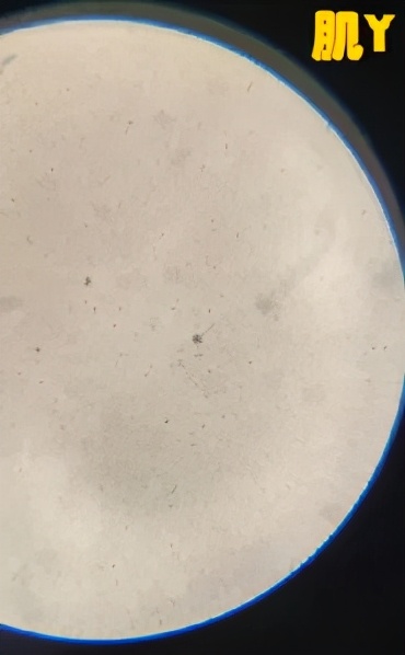 2023卸妆油测评良心推荐,2015卸妆油排行榜10强