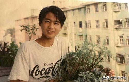 光明与磊落是什么,光明与磊落