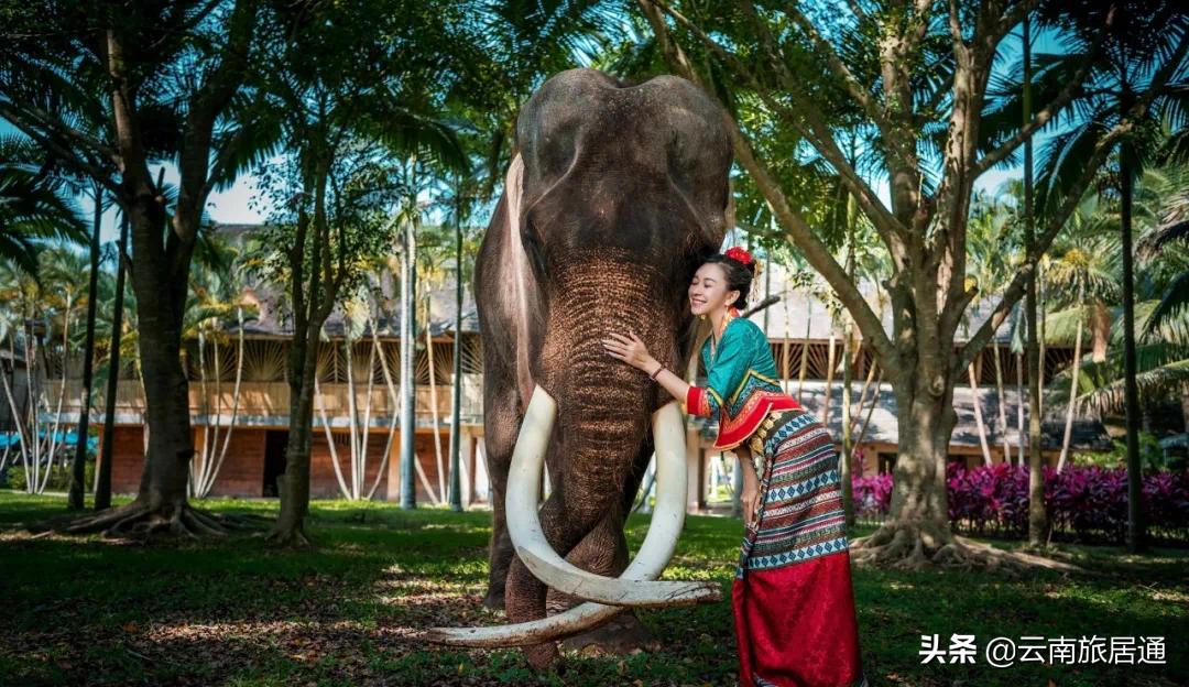 在西双版纳有个自己的小院,西双版纳美如世外桃源
