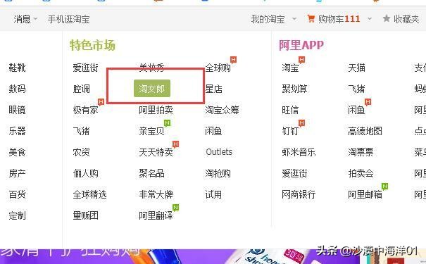 申请淘女郎需要什么手续,淘女郎的申请流程