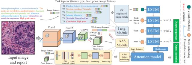 浅谈医学影像学习与实践,基于深度学习的医学影像研究思路