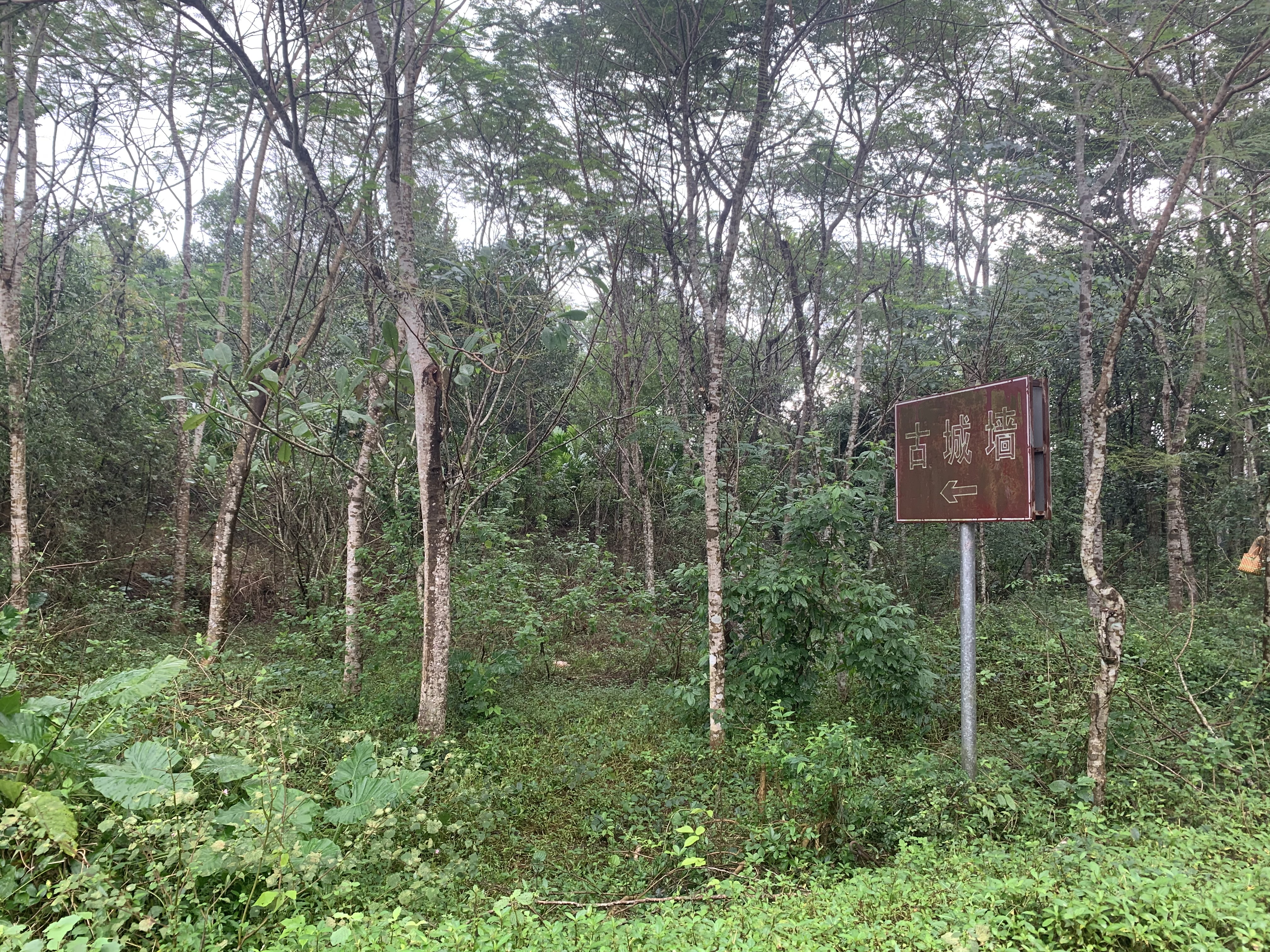 海南南渡江的历史,海南南渡江探钓