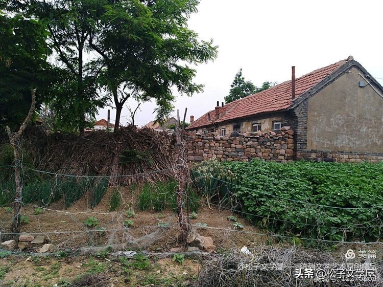 山东海阳李家庄村名的由来,海阳李家庄平房