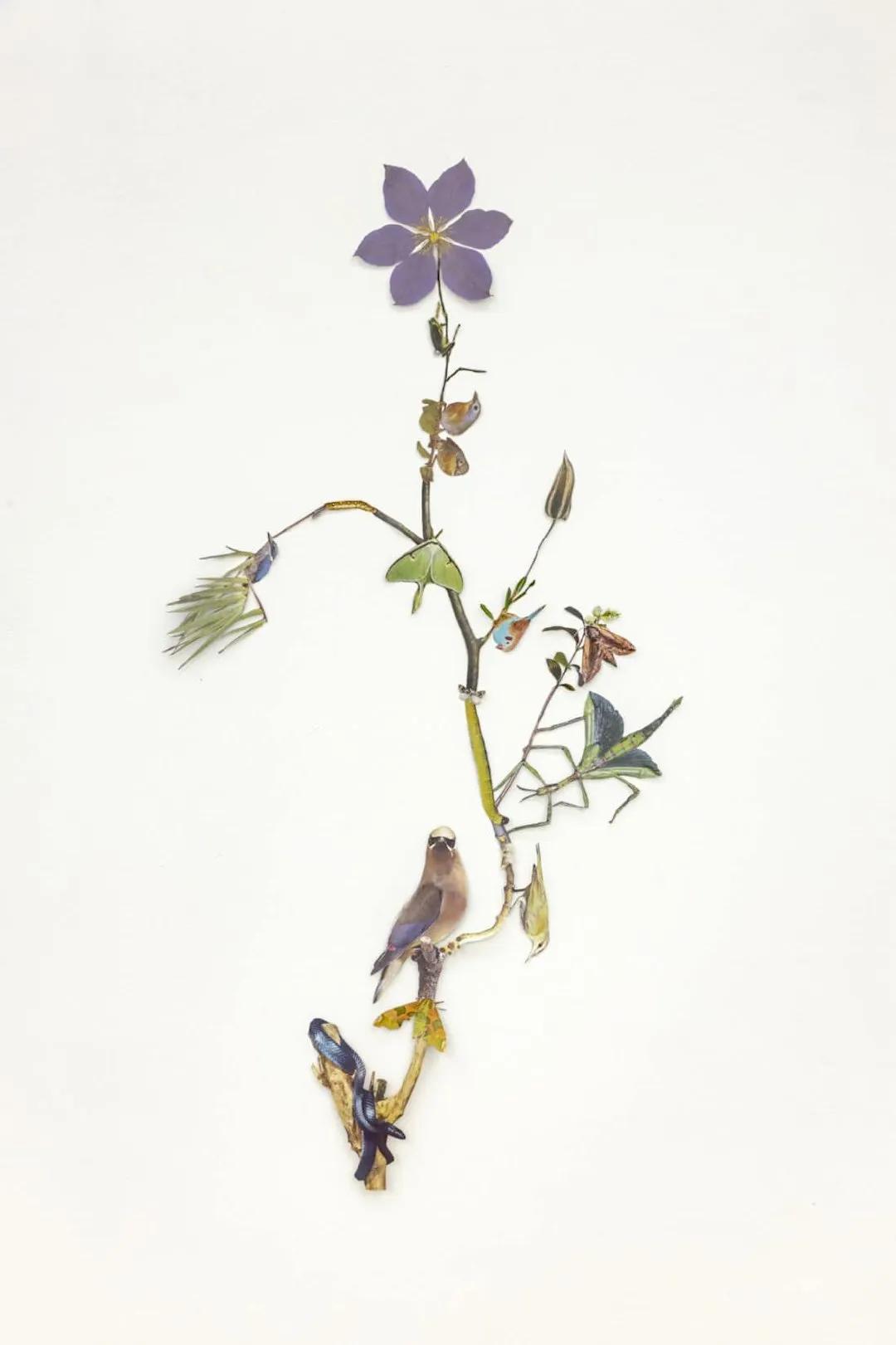 纸手工艺术,手工纸艺术