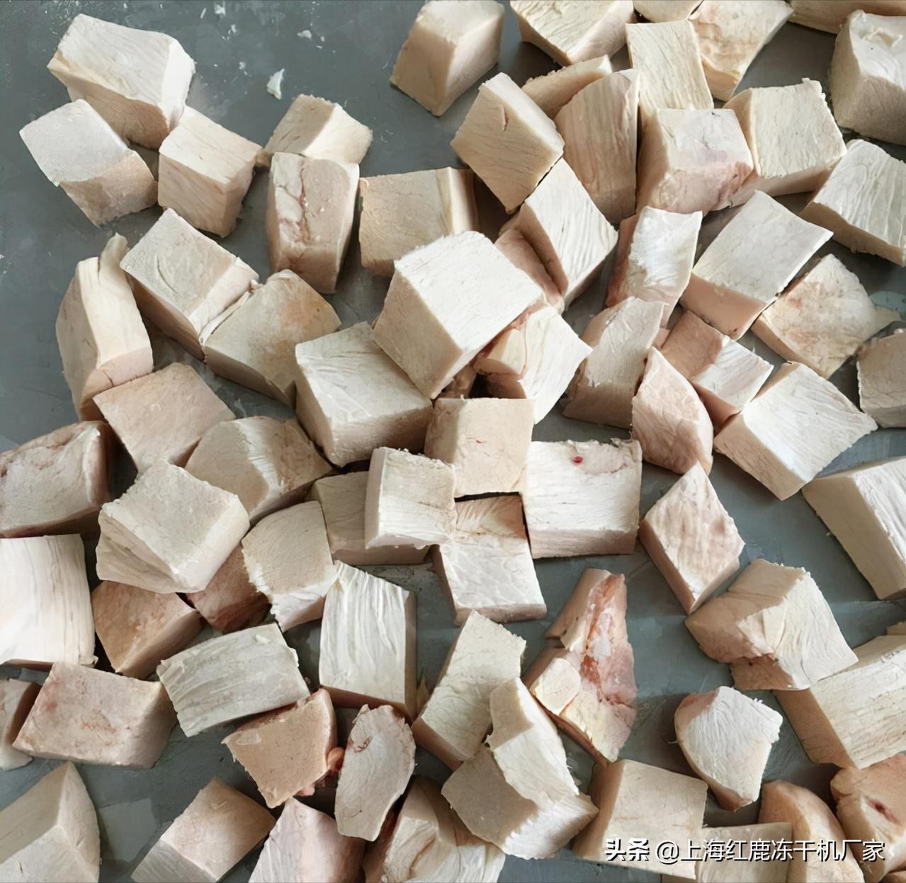 自制宠物冻干鸡肉怎么做的,鸡肉冻干的制作方法狗狗