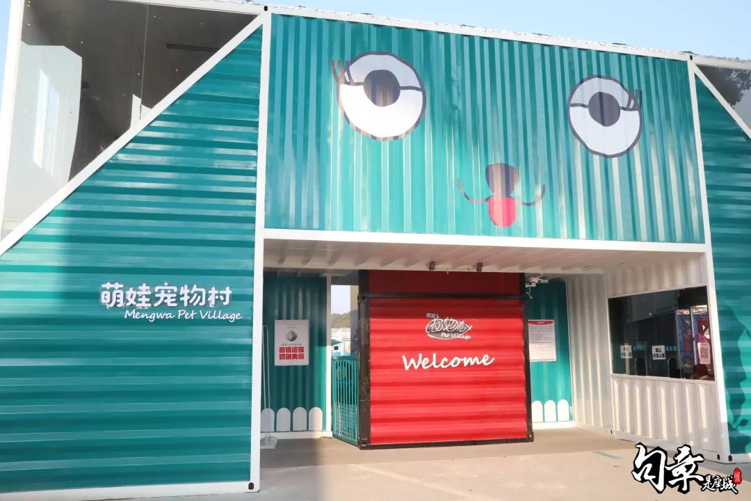 汪汪汪~宁波首家宠物主题乐园登陆江北，铲屎官们走起