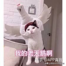 维a酸乳膏,维a酸处方图片