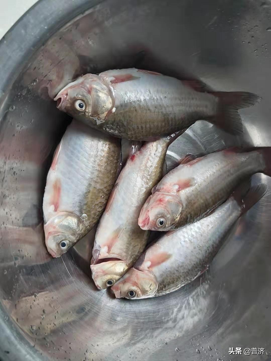 居家厨房挑战视频,鲫鱼处理全过程