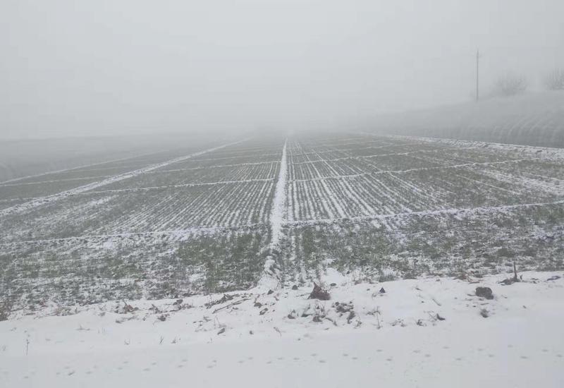 冬天打雷有什么说法风水上,春夏秋冬打雷的讲究