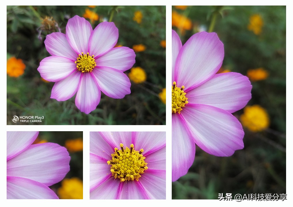 荣耀play3是真4800万像素吗,好看拍照好的千元机