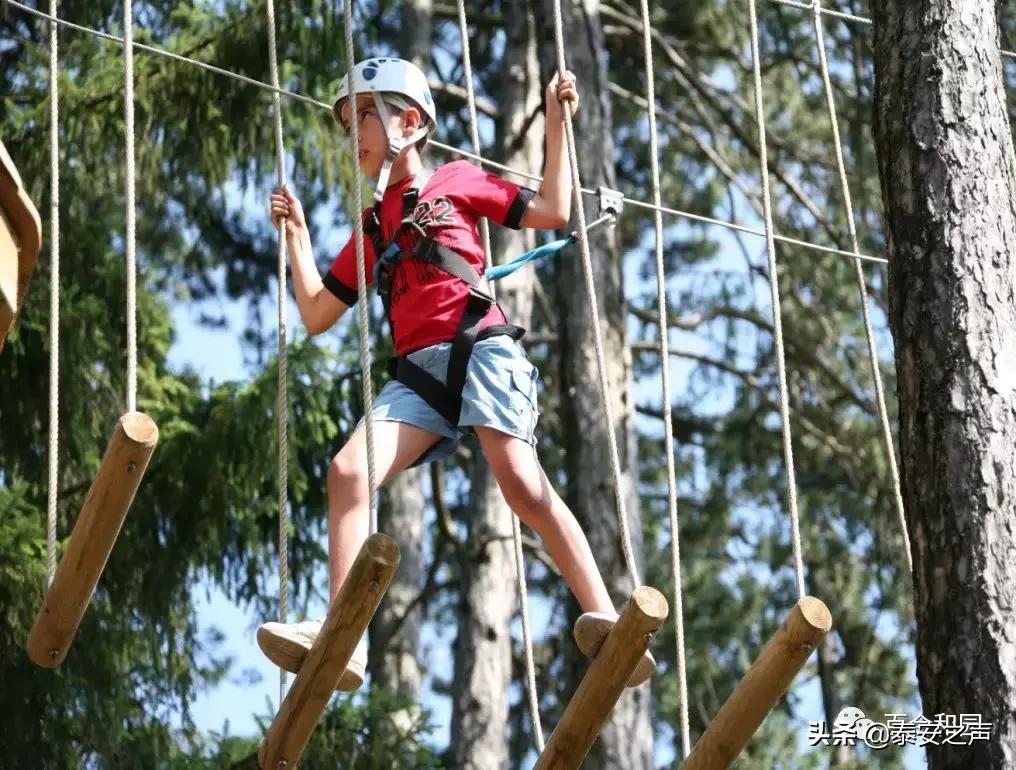 泰山百合和园简介,泰山百合和园