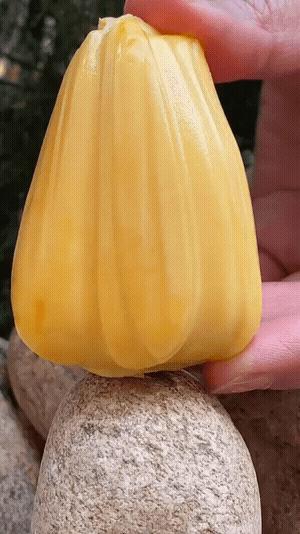 适合跨年夜发朋友圈的文案,皮友们的文案