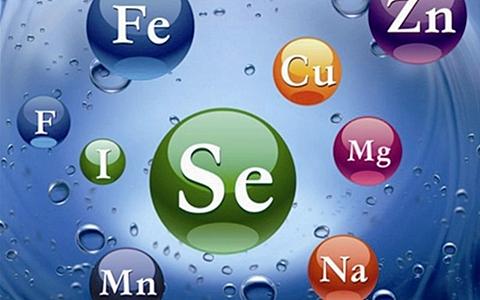 精子是不是有问题,精子也是血造的吗